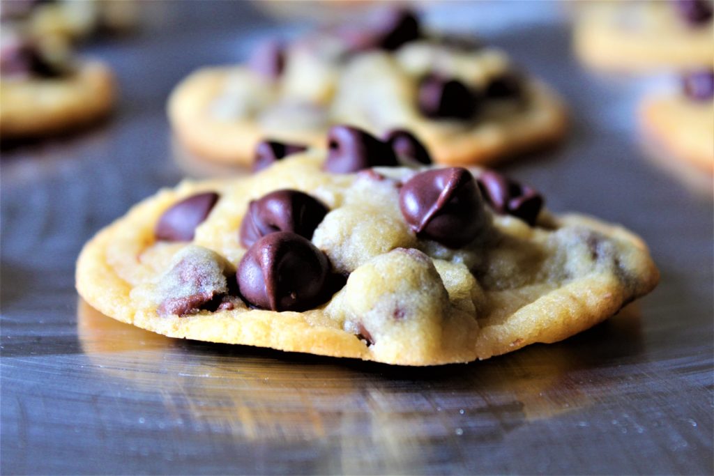 Chocolate chip cookie