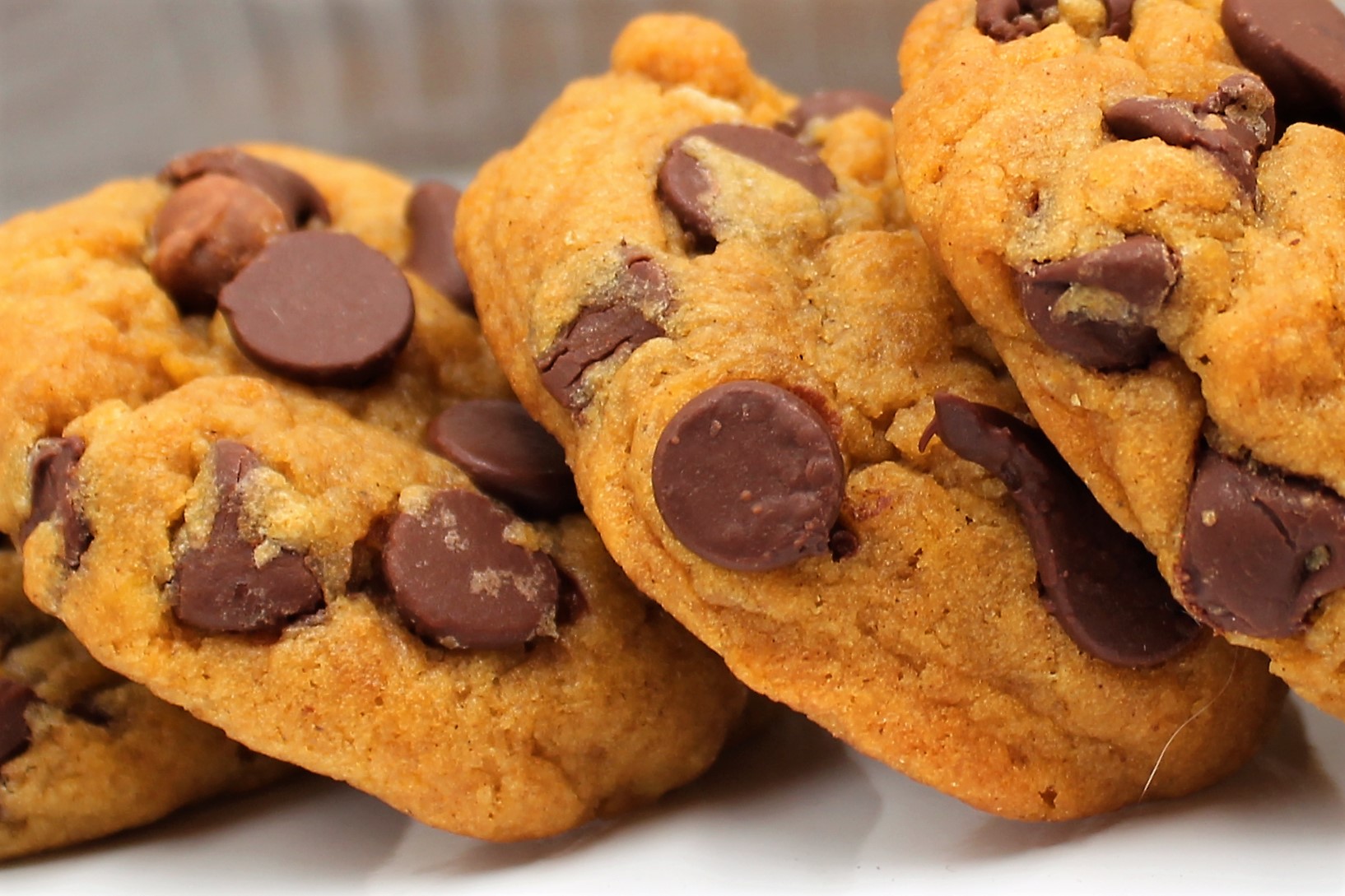 Pumpkin Chocolate Chip Cookies